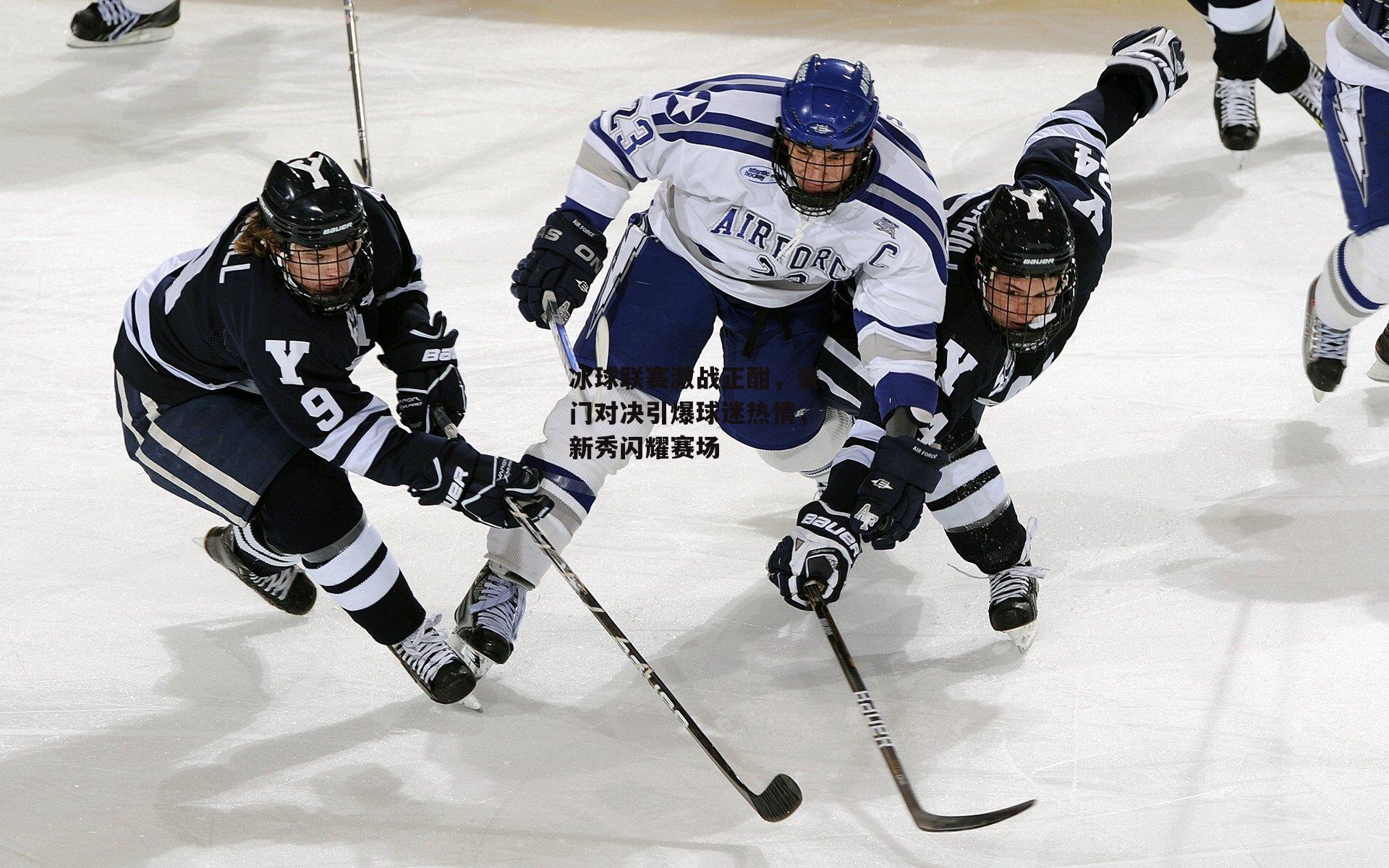 冰球联赛激战正酣，豪门对决引爆球迷热情，新秀闪耀赛场